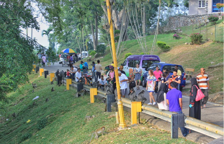 202601061409-7837680333.png image.png