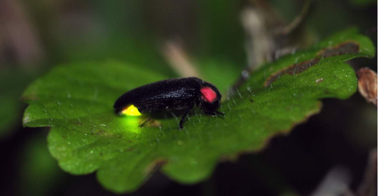 202601061410-6076923275.png image.png