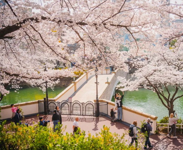 202601061426-9223974875.png image.png