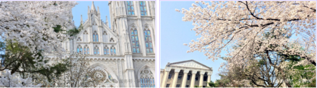 202601061427-1702197015.png image.png