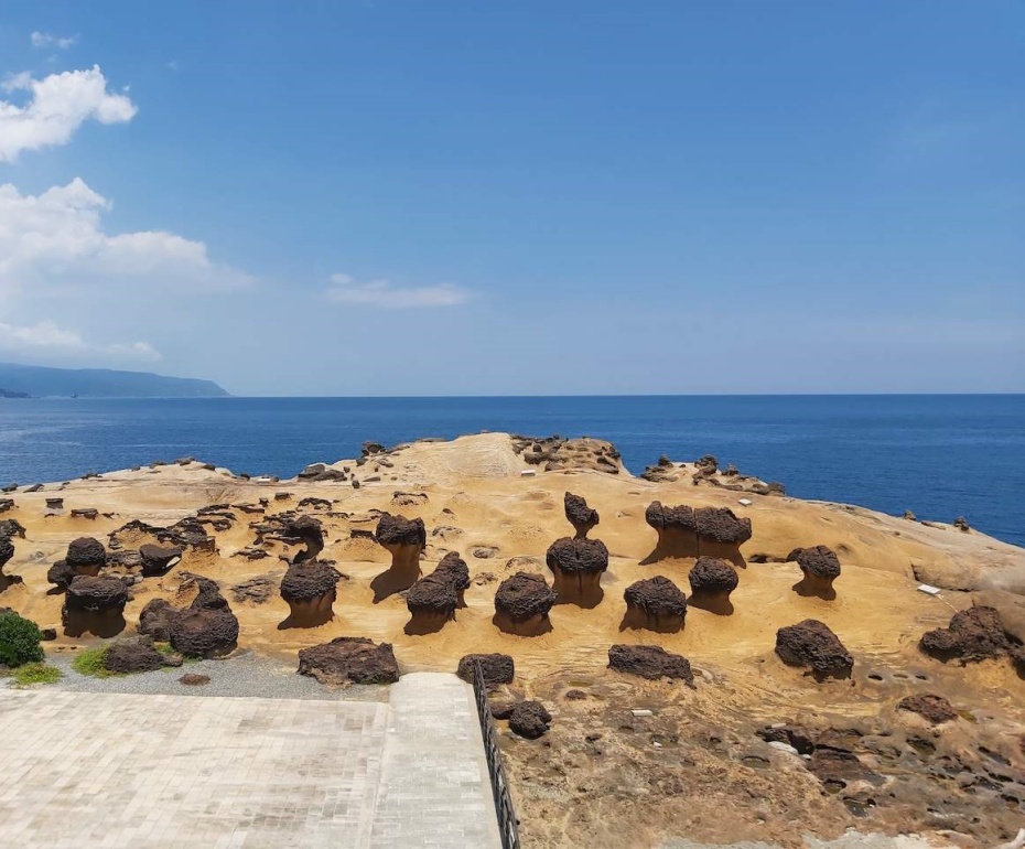 202601061430-1058974203.jpg undefined (8).jpg