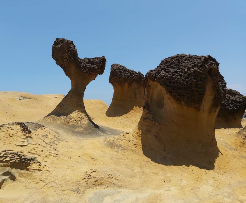 202601061430-7625936945.jpg undefined (10).jpg