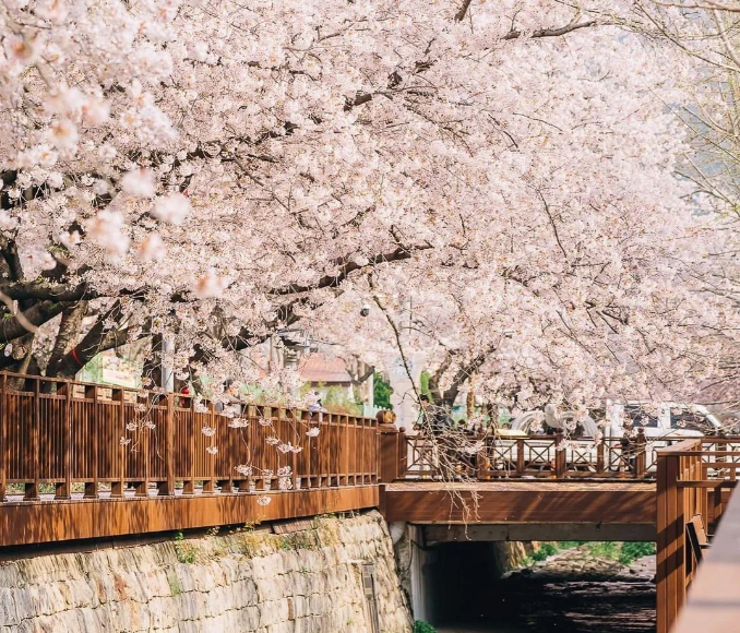 202601061452-5259096490.png image.png