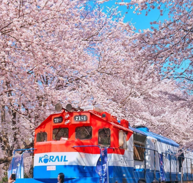 202601061452-7853189639.png image.png