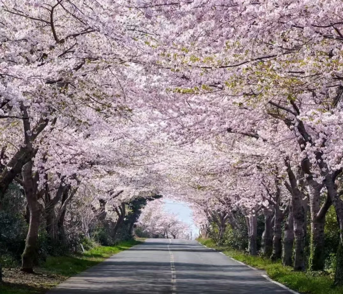 202601061453-2573943862.png image.png