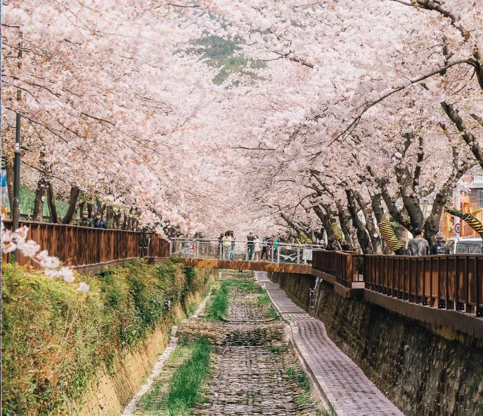 202601061453-5989684215.png image.png