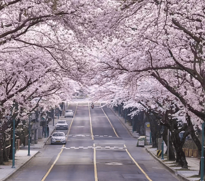 202601061454-2399043037.png image.png