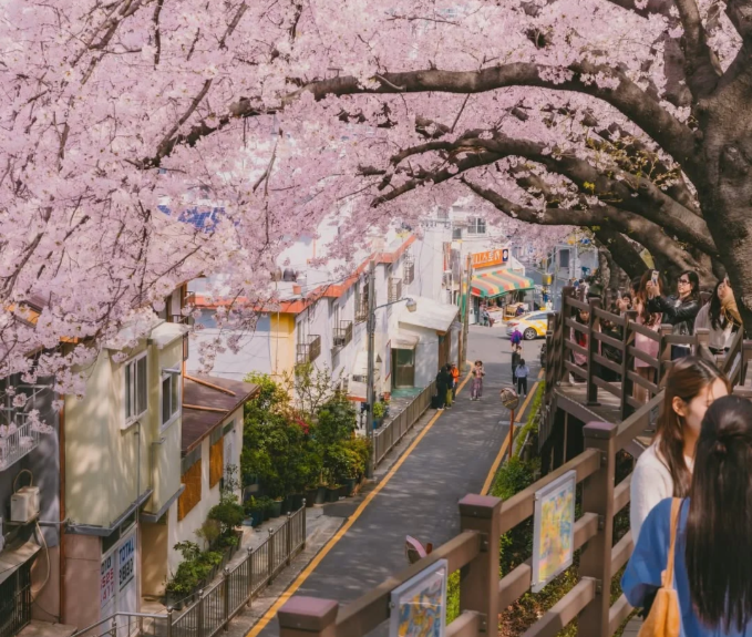 202601061454-8459630415.png image.png