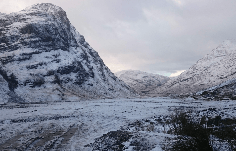 202601061558-5650779271.png image.png