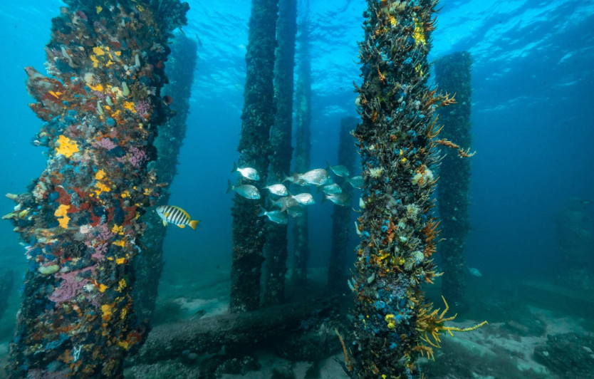 202601070947-5011216551.png image.png