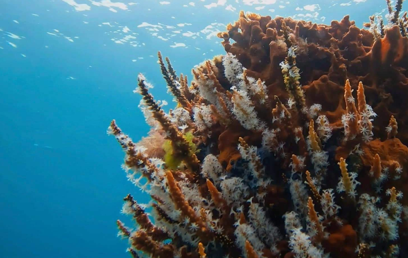 202601070948-7611230986.png image.png