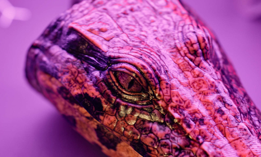 202601071027-4317944232.png image.png