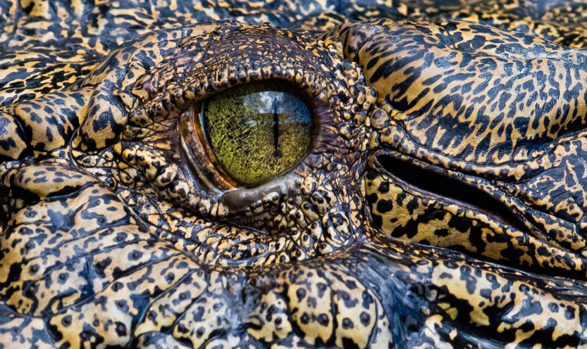 202601071027-6643039788.png image.png