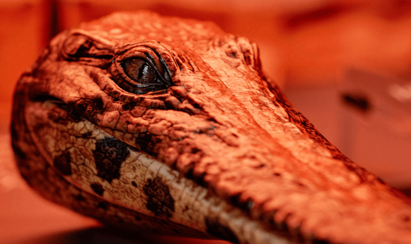 202601071028-2911531652.png image.png