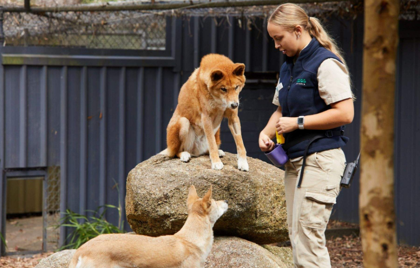 202601071106-2347914648.png image.png