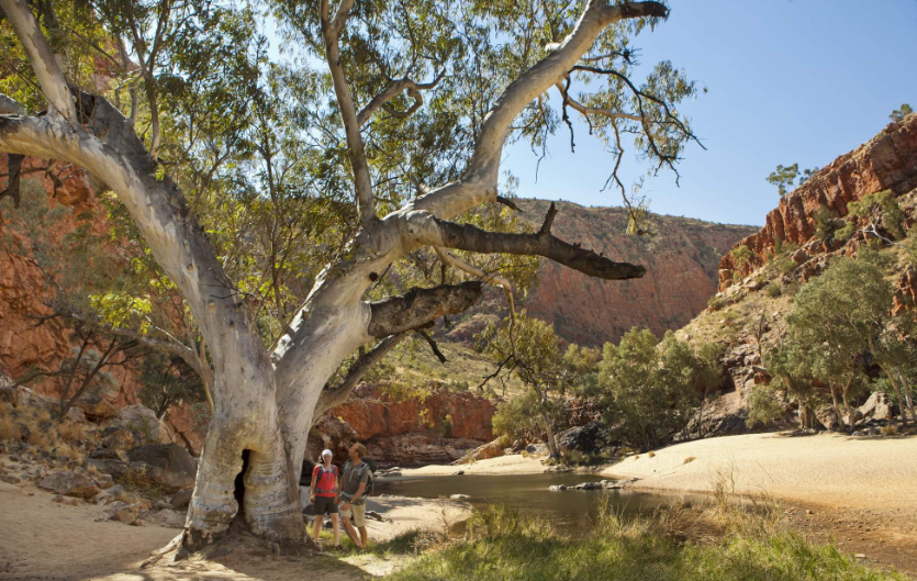 202601071319-1185425157.png image.png