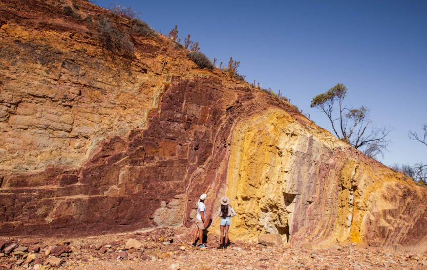 202601071320-4804639365.png image.png