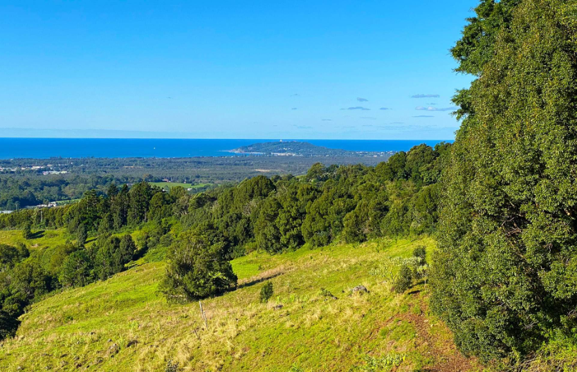 202601071332-3136171646.png image.png