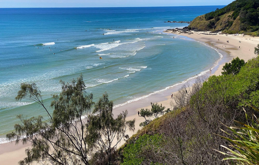 202601071343-7314497273.png image.png