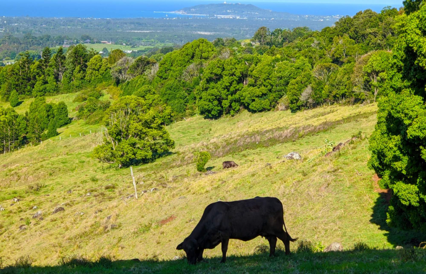 202601071346-5377998536.png image.png