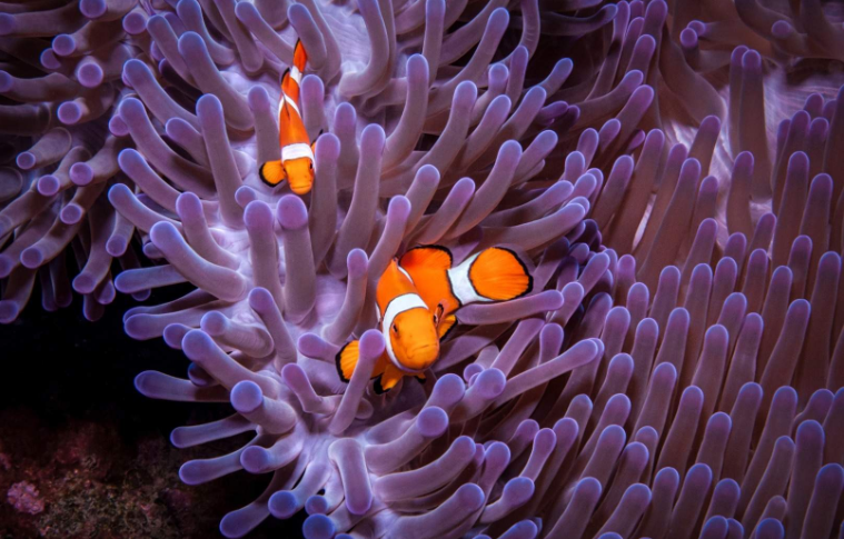 202601071431-9032503167.png image.png