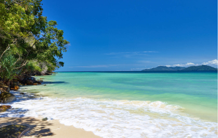 202601071432-8121027120.png image.png