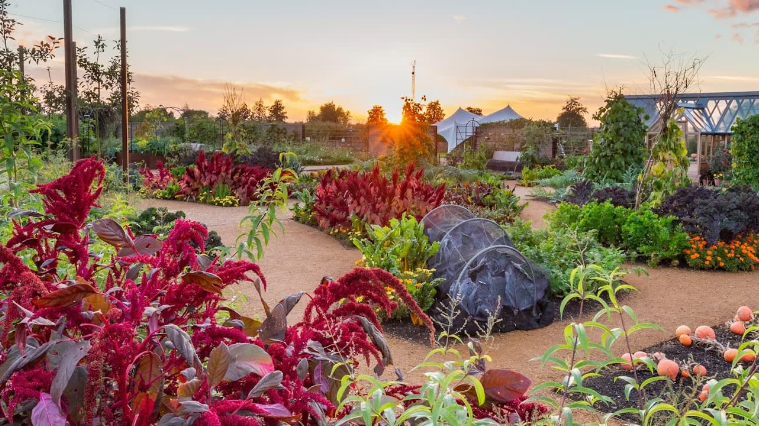 202601080943-2607717204.png image.png