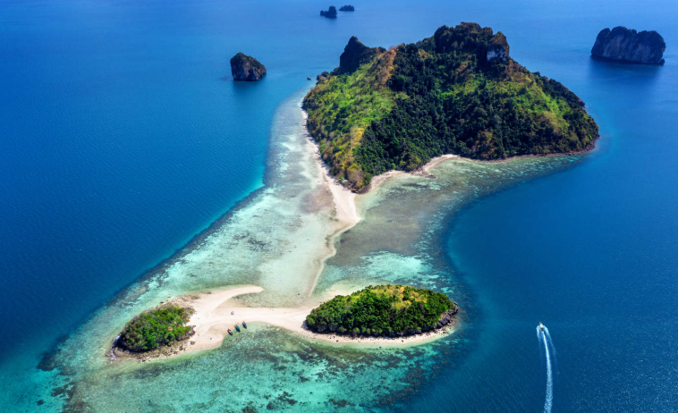 202601081049-7829645321.png image.png