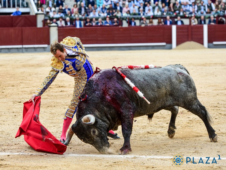 e6e6e23eb3db85f538929a725ff790a92d0eaafaf3288382831d1ca84b24b7ee (2).jpg