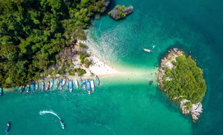 202601081106-1960818423.png image.png