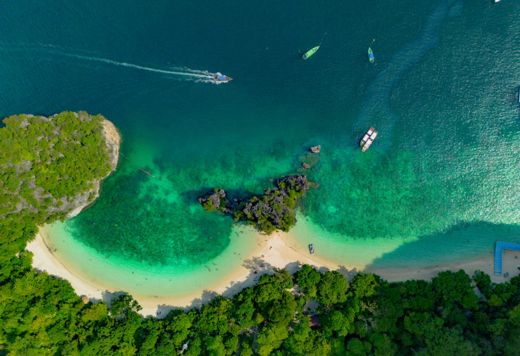 202601081107-3399132938.png image.png