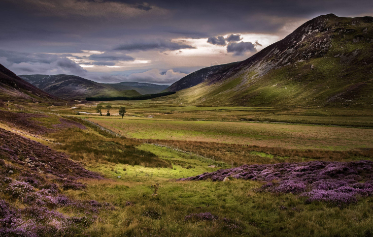 202601081139-3458290327.png image.png