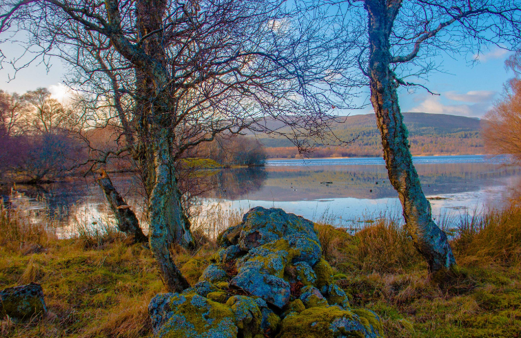 202601081140-8779210409.png image.png