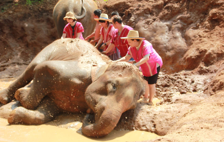 202601081340-2529245156.png image.png