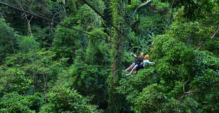 202601081341-2162242641.png image.png