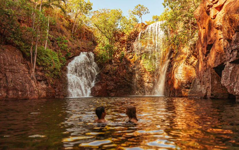 202601081355-2547576345.png image.png