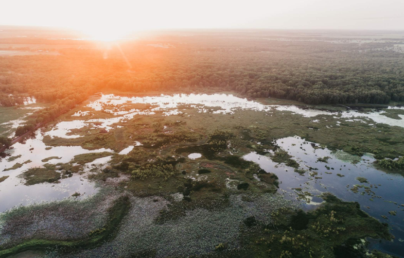 202601081356-8015858208.png image.png