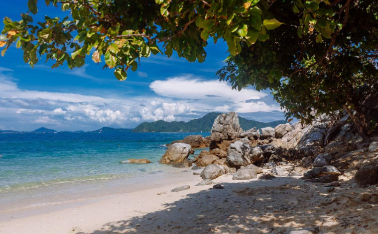 202601081421-4444120493.png image.png