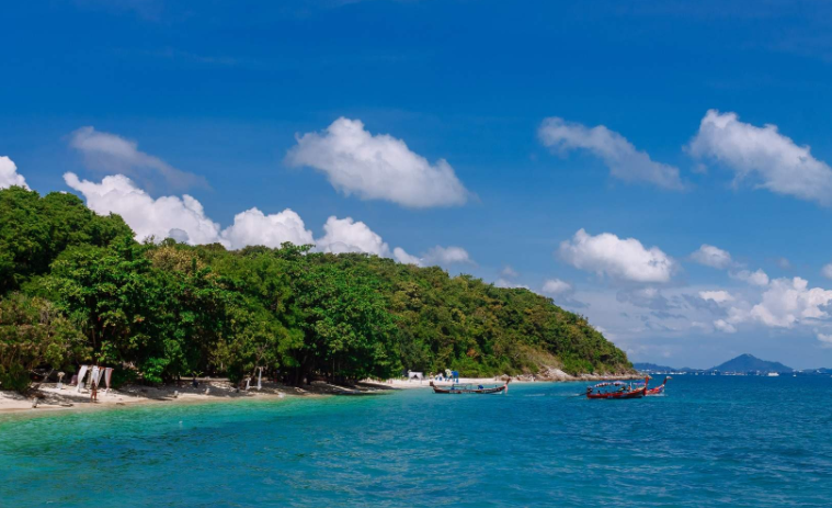 202601081422-8280593355.png image.png