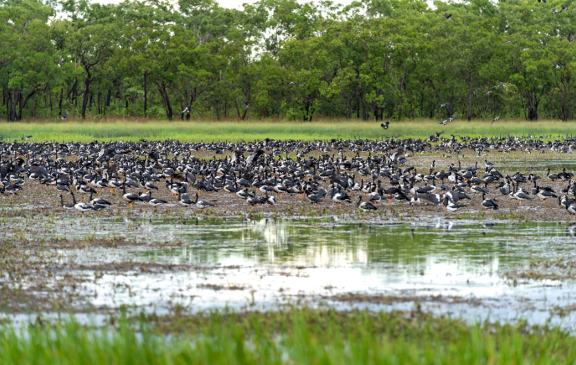 202601081428-2428904036.png image.png