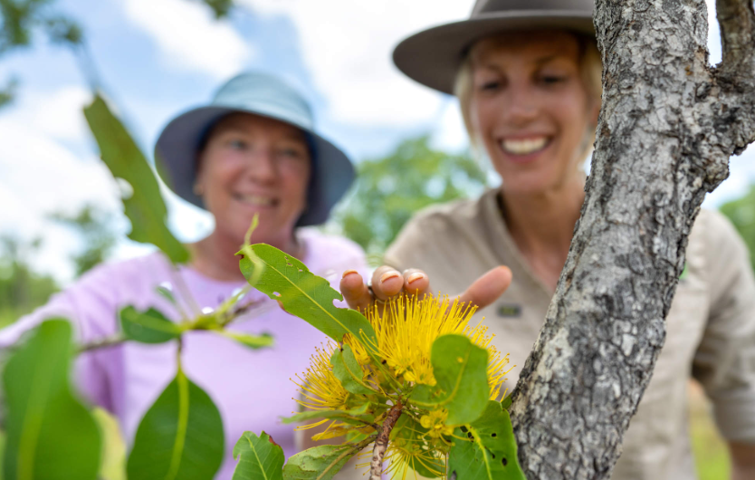 202601081429-3359764730.png image.png