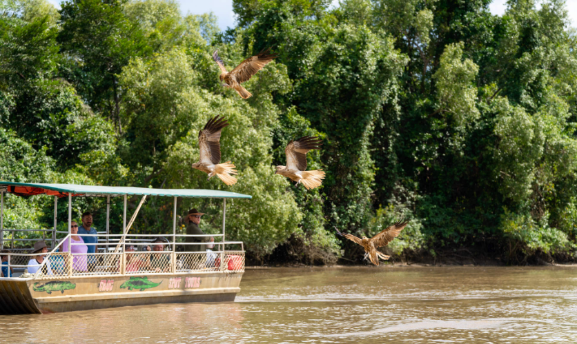 202601081429-7339919637.png image.png