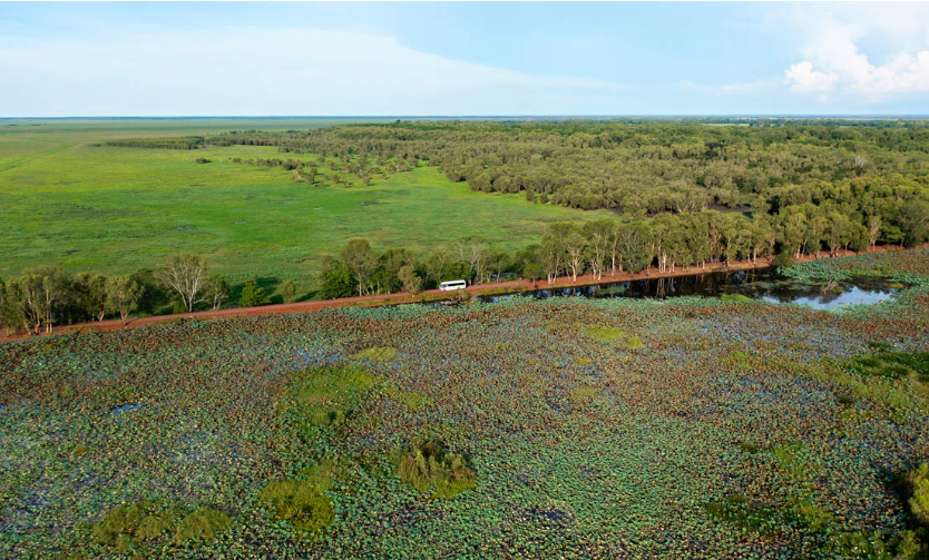 202601081430-6133359471.png image.png