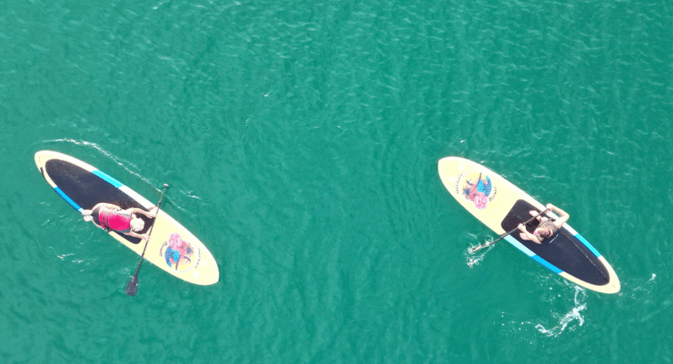 202601081433-2811020662.png image.png