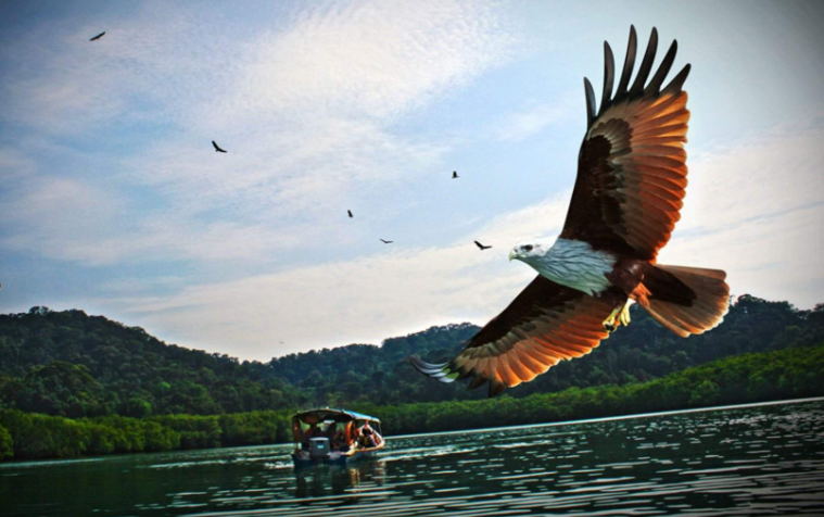 202601081503-5701372015.png image.png