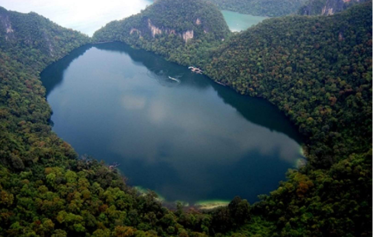 202601081504-5347524982.png image.png