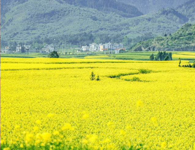 202601081542-2502350298.png image.png