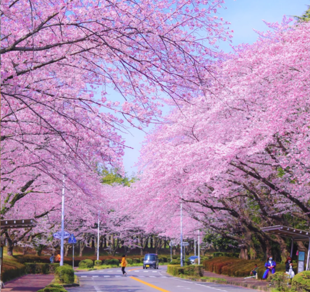 202601081542-5087627074.png image.png