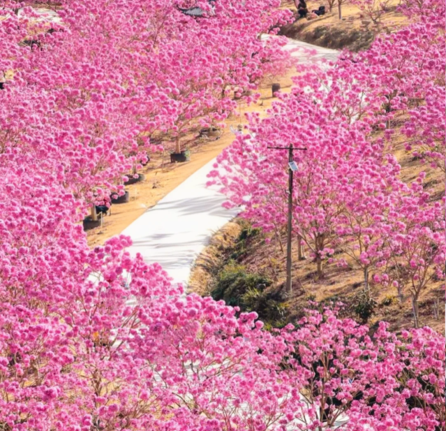 202601081542-6526094849.png image.png