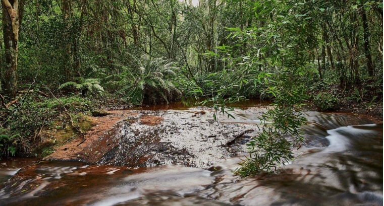 202601091036-7034177058.png image.png